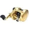 Shimano Calcutta Conquest 300/301 (2018) -Daiwa Soldes 0000010000000000r 1