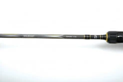 Daiwa Goldcast 2pc 10 Daiwa Goldcast 2pc -Daiwa Soldes 216202r 4