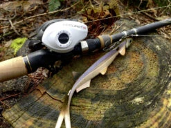 Quantum Accurist Baitcast AT101 HPT -Daiwa Soldes 22 570101 6