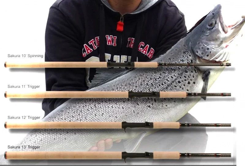 BFT Sakura 4 BFT Sakura – Image 2