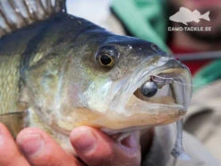 Keitech Easy Shiner 11 Keitech Easy Shiner -Daiwa Soldes 58440BOWEr 4