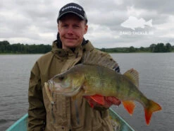 Keitech Easy Shiner 12 Keitech Easy Shiner -Daiwa Soldes 58440BOWEr 5