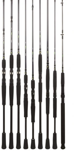 BFT Raptor G2 Pike Spin 8' -100g, 2pcs Haspel 5 BFT Raptor G2 Pike Spin 8' -100g, 2pcs Haspel -Daiwa Soldes 75 BFT R2SP80 2 2
