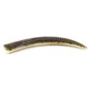 Bite Of Bleak Nazeebo Worm 10cm (8-pack) 2 Bite Of Bleak Nazeebo Worm 10cm (8-pack) -Daiwa Soldes BOB 00 0961r 1