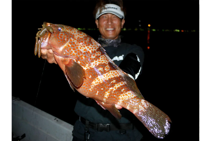 Megabass Honjikomi Bottle Shrimp 3'', 7,6cm (6-pack) 4 Megabass Honjikomi Bottle Shrimp 3'', 7,6cm (6-pack) – Image 2