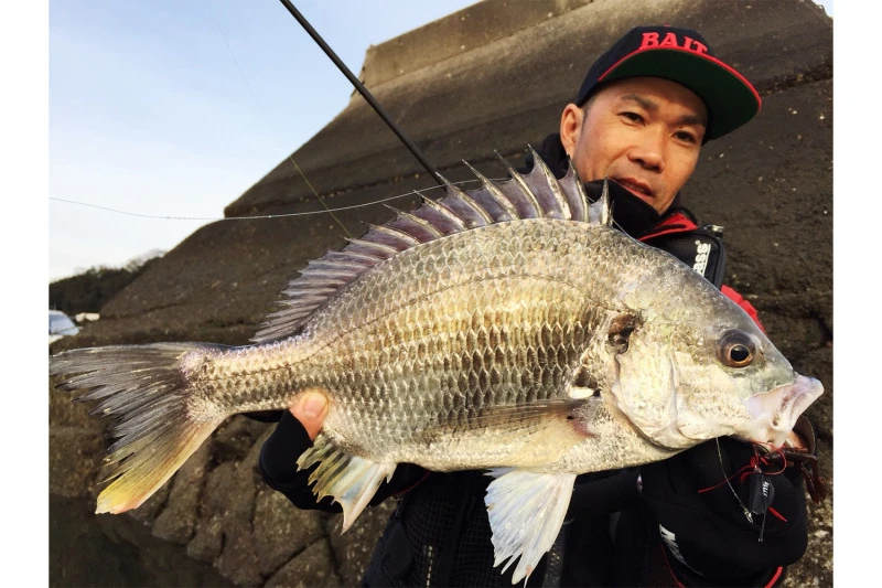 Megabass Honjikomi Bottle Shrimp 3'', 7,6cm (6-pack) 5 Megabass Honjikomi Bottle Shrimp 3'', 7,6cm (6-pack) – Image 3