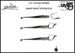 Molix Sator Worm 2,5'', 6,3cm -Daiwa Soldes SAW25 01r 3