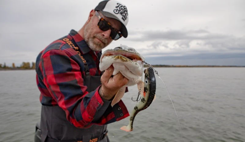 SvartZonker McRubber Glow Series Sea And Lake (2-pack) 4 SvartZonker McRubber Glow Series Sea And Lake (2-pack) – Image 2