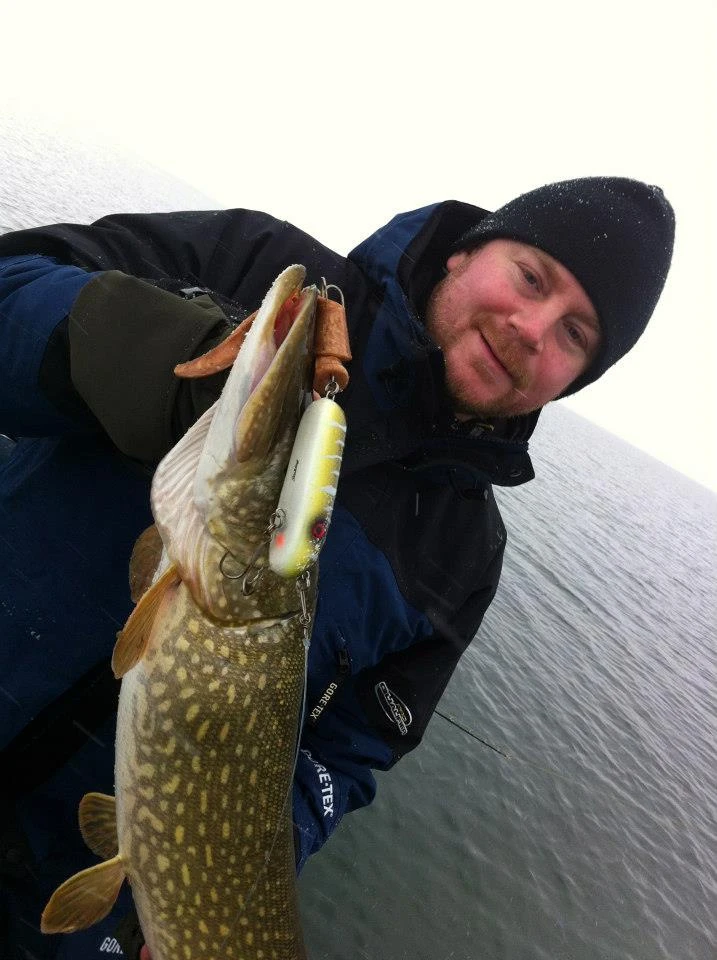 SvartZonker Big Tail (2-pack) 4 SvartZonker Big Tail (2-pack) – Image 2