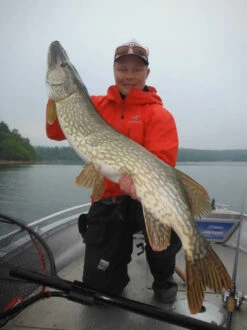 SvartZonker Big McRubber V2 - (2 Pack) 10 SvartZonker Big McRubber V2 - (2 Pack) -Daiwa Soldes bigmcrubberv2 2pr 3