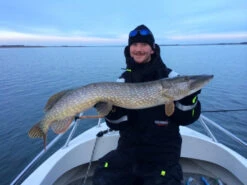 SvartZonker Big McRubber V2 - (2 Pack) 11 SvartZonker Big McRubber V2 - (2 Pack) -Daiwa Soldes bigmcrubberv2 2pr 4