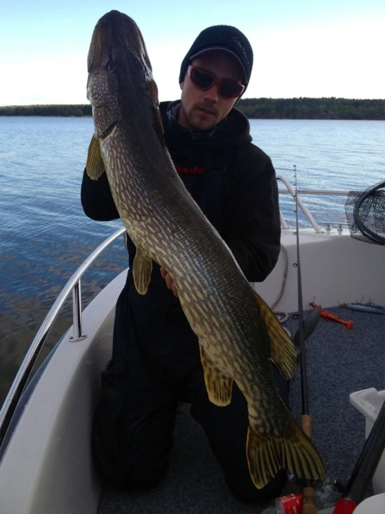 SvartZonker Big McRubber V2 - (2 Pack) 7 SvartZonker Big McRubber V2 - (2 Pack) – Image 5