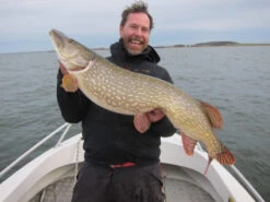 SvartZonker Big McRubber V2 - (2 Pack) 13 SvartZonker Big McRubber V2 - (2 Pack) -Daiwa Soldes bigmcrubberv2 2pr 6